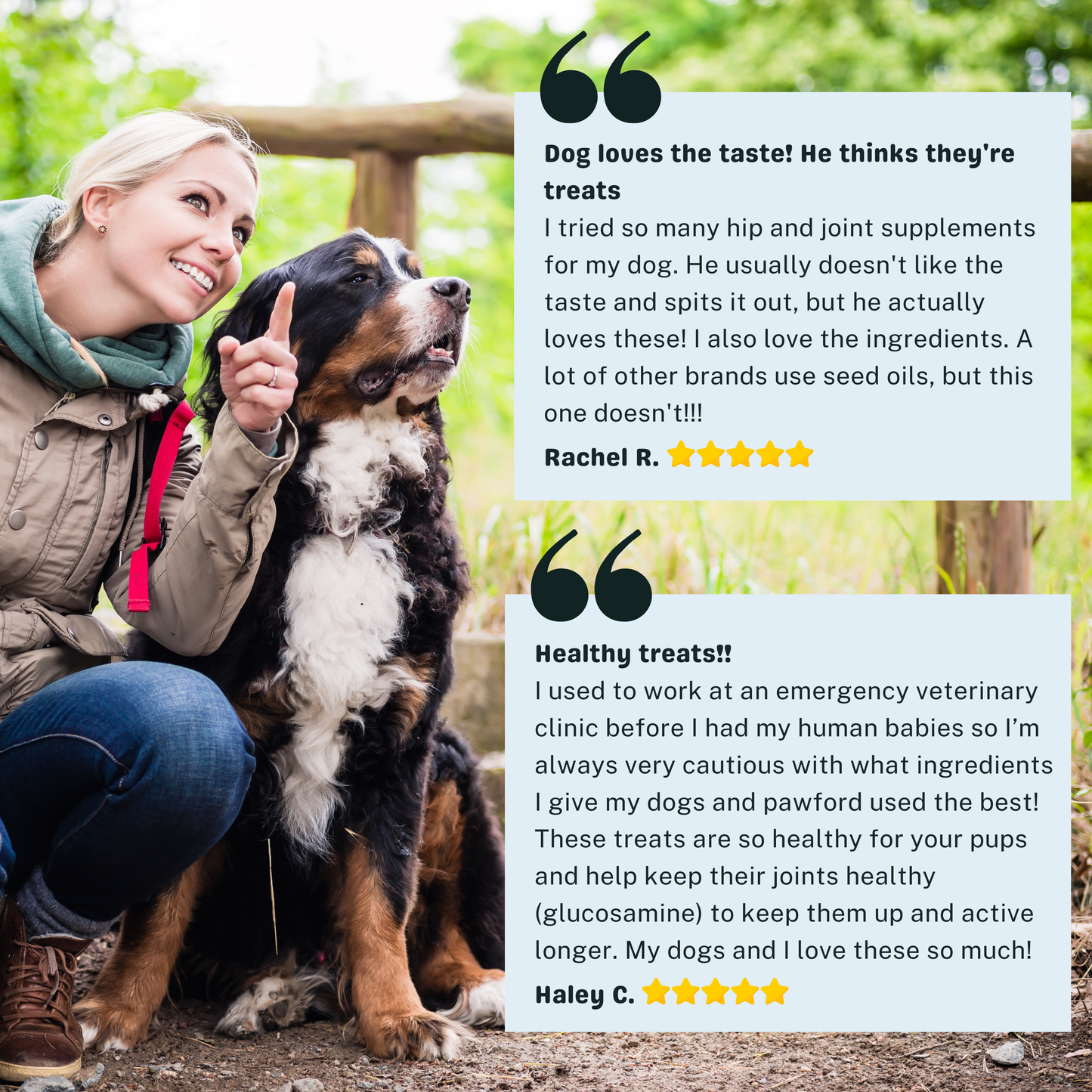 Hip & Joint Daily Chews