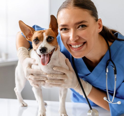 Trusted by Leading Pet Experts