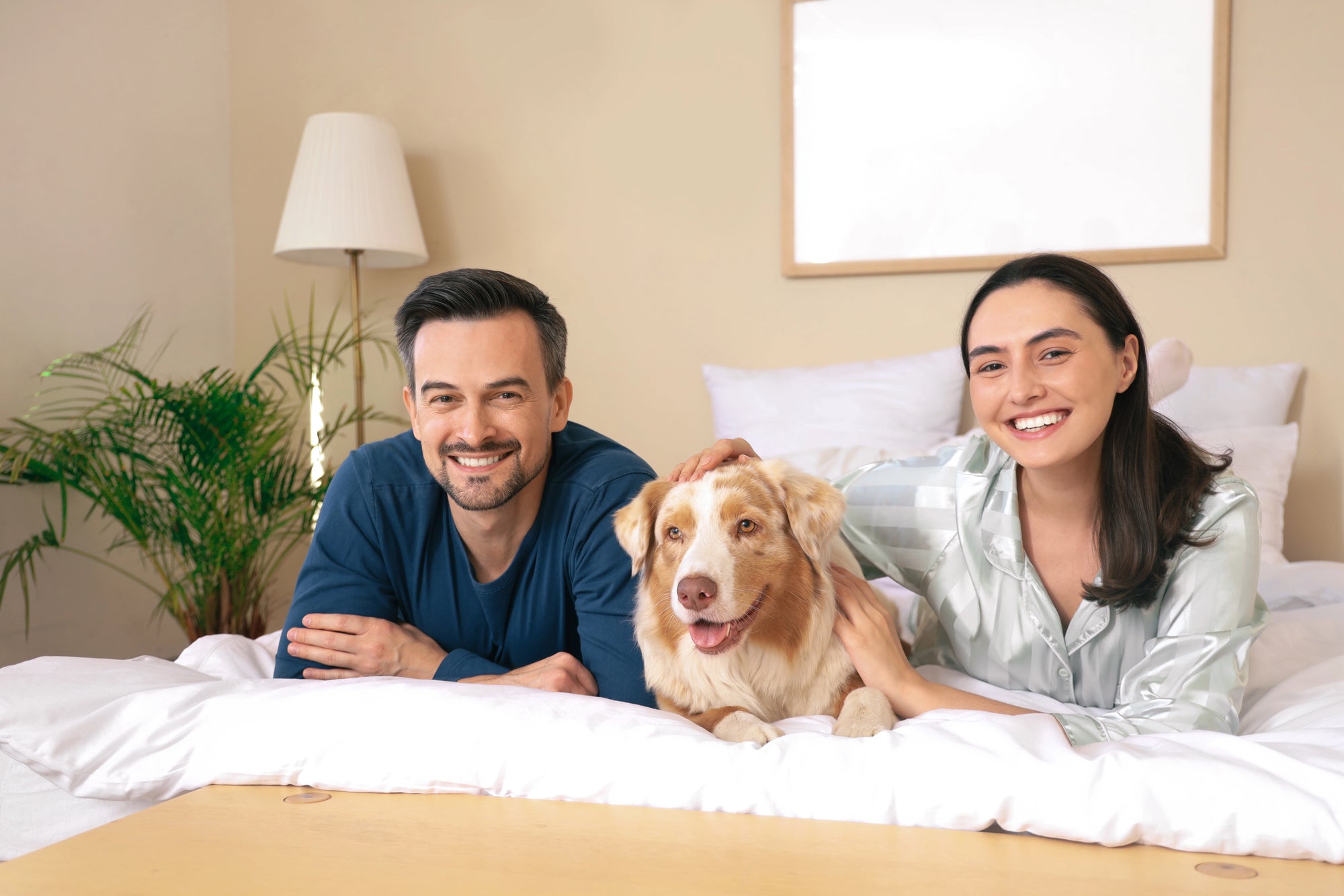 Supporting Calm Behavior in Dogs: Inside Pawford’s Calming Daily Chews