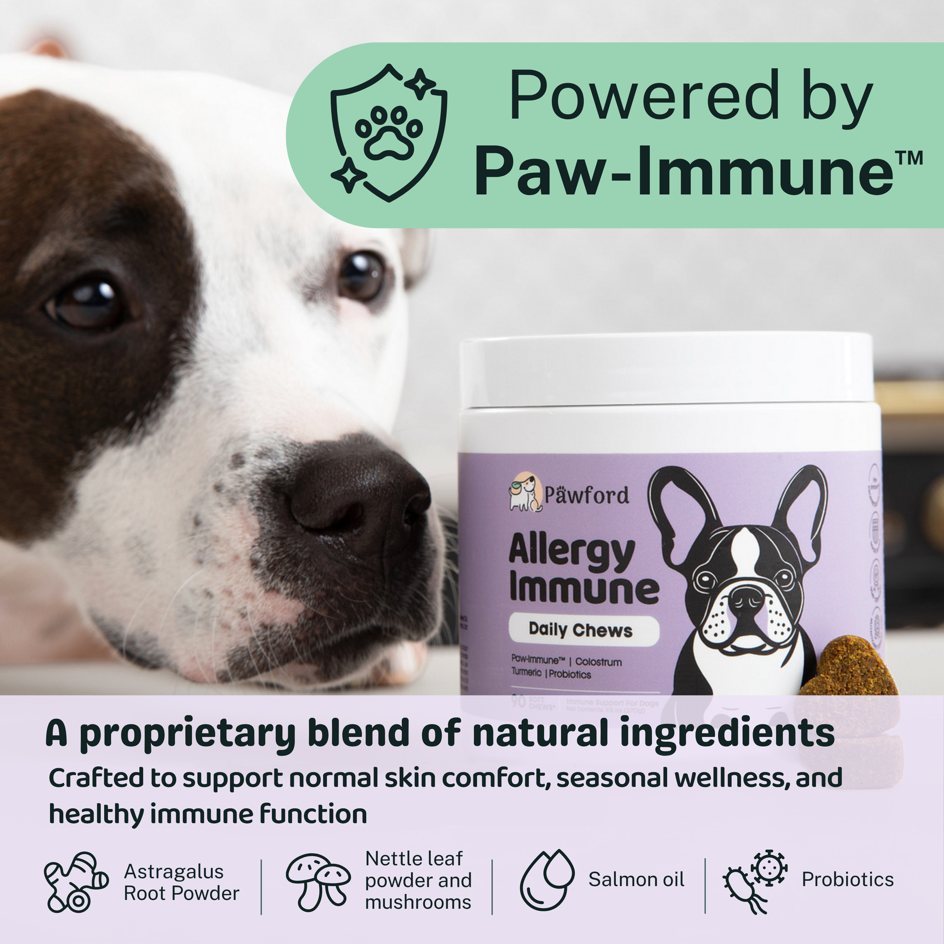 Allergy & Immune Daily Chews