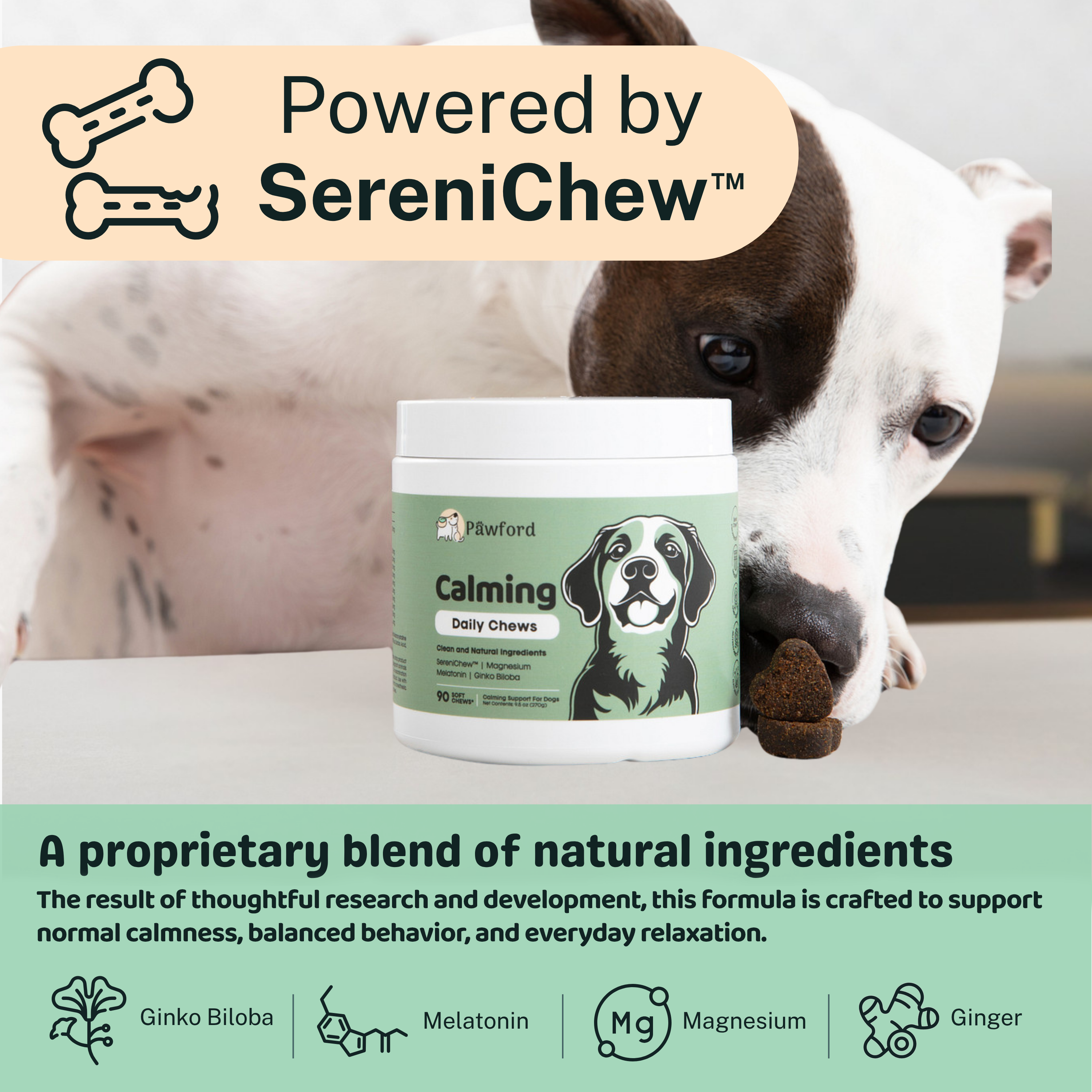 Calming Daily Chews