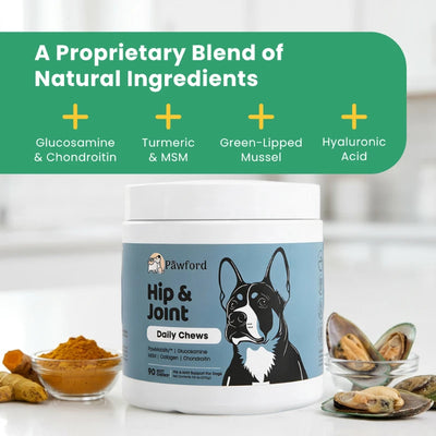 Hip & Joint Daily Chews