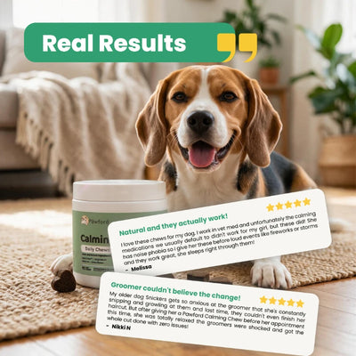 Calming Daily Chews
