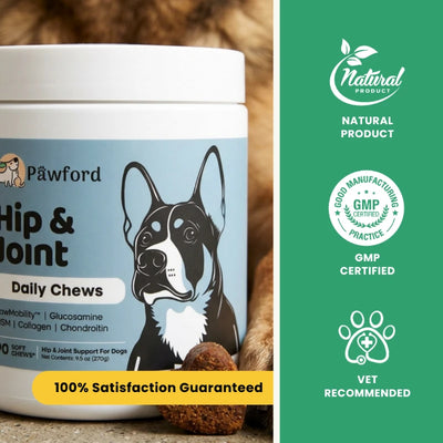 Hip & Joint Daily Chews