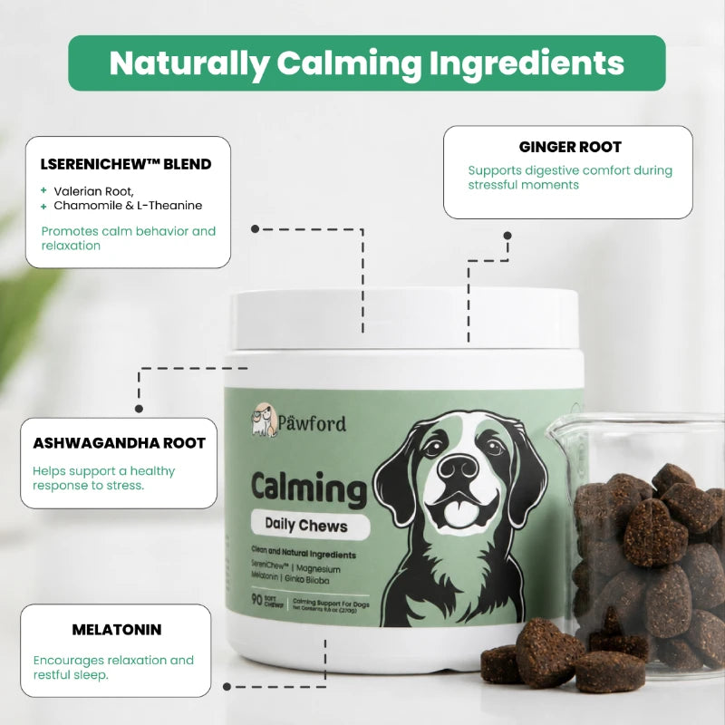 Calming Daily Chews
