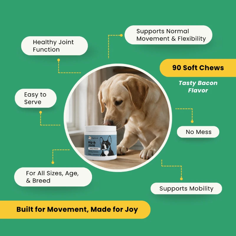 Hip & Joint Daily Chews