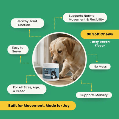 Hip & Joint Daily Chews