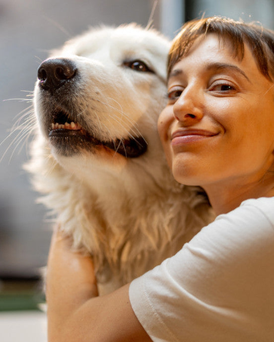 Born from a Shared Love for Dogs - and a Drive to Do Better