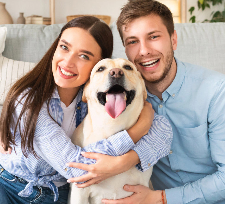 Better Health. Happier Pets. One Chew at a Time.