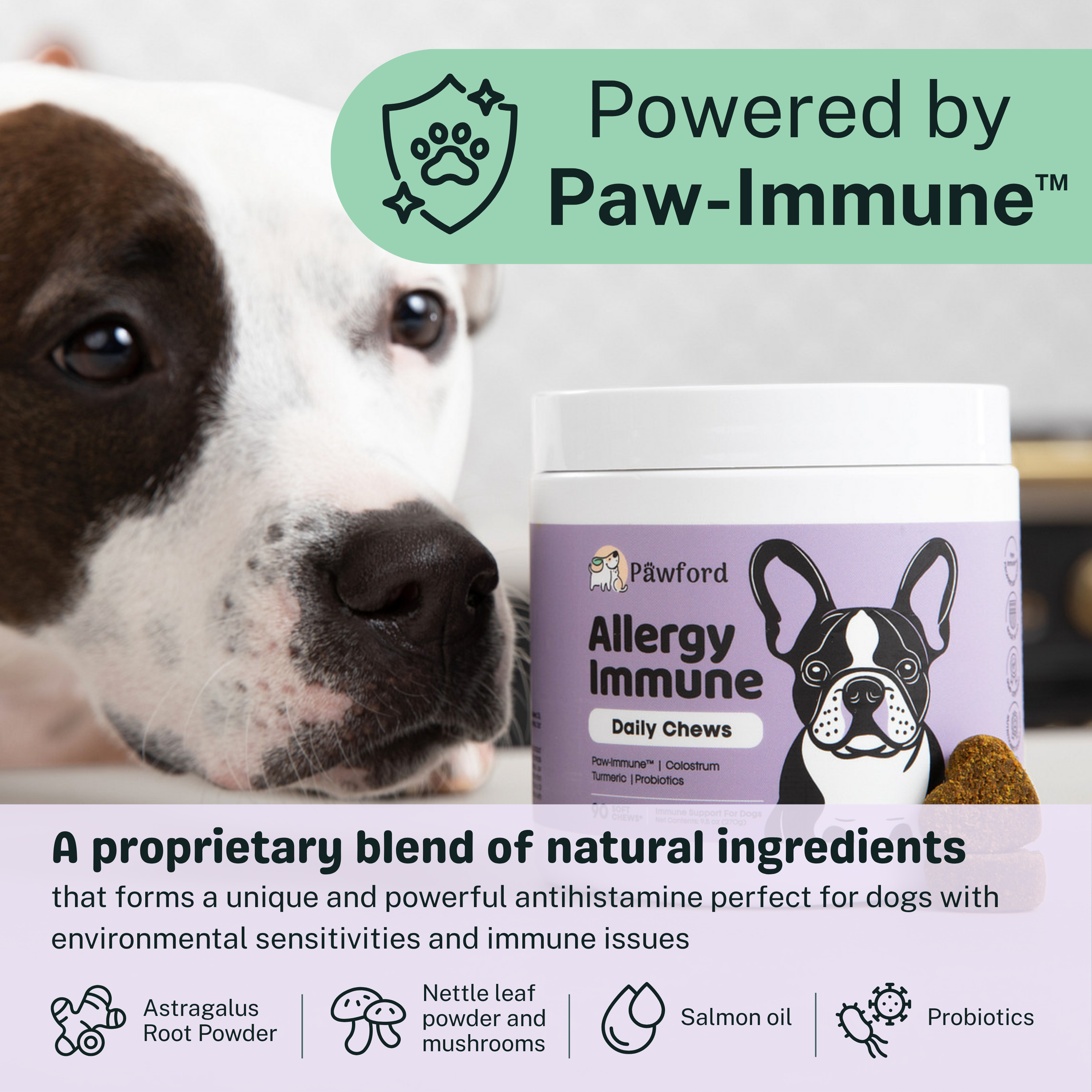 Allergy & Immune Daily Chews