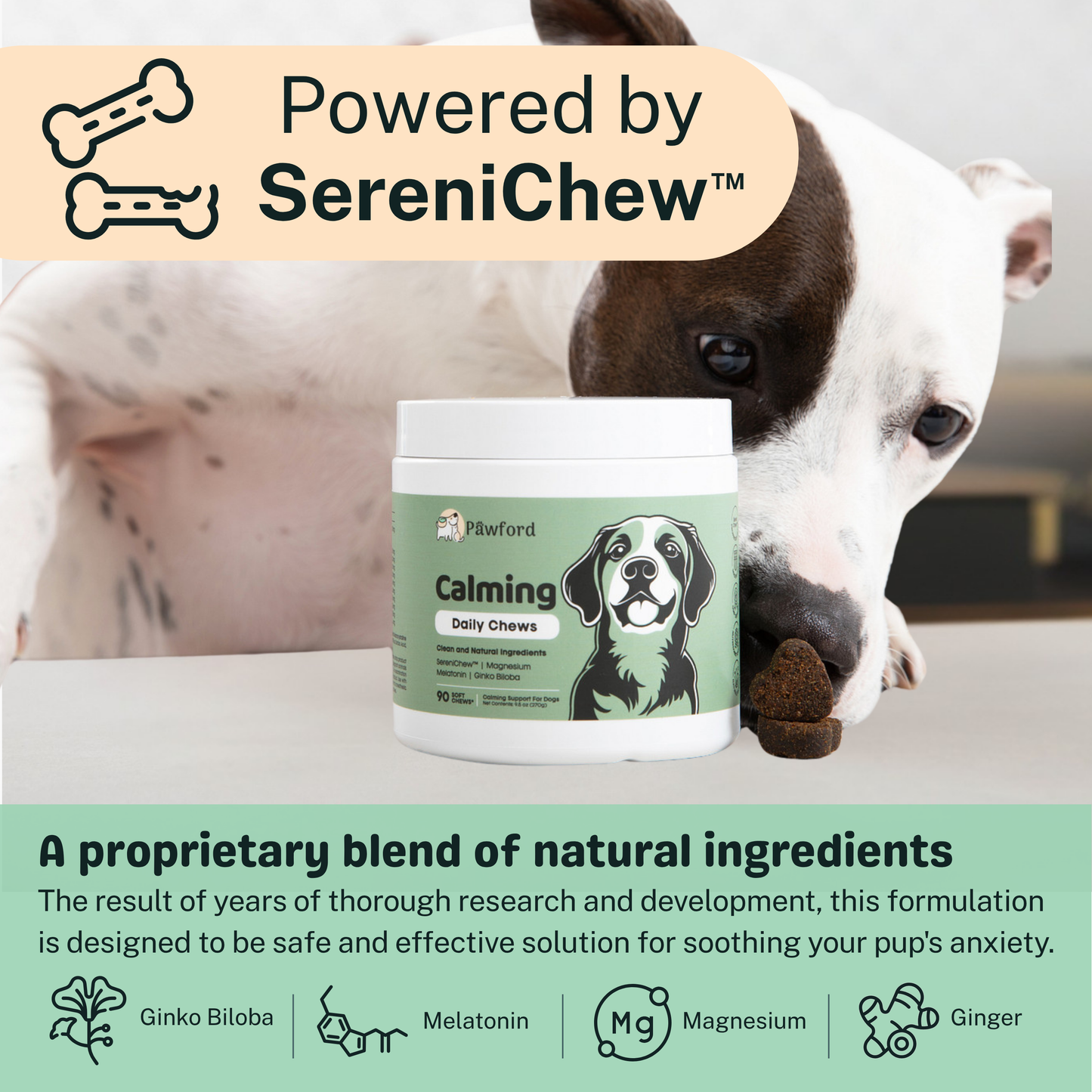 Calming Daily Chews