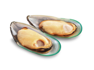 Green Lipped Mussels