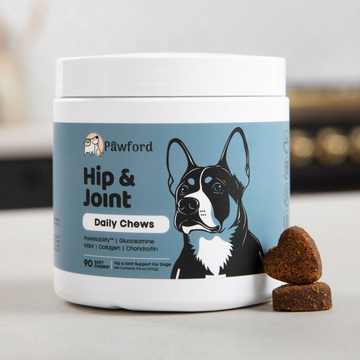 Hip & Joint Daily Chews