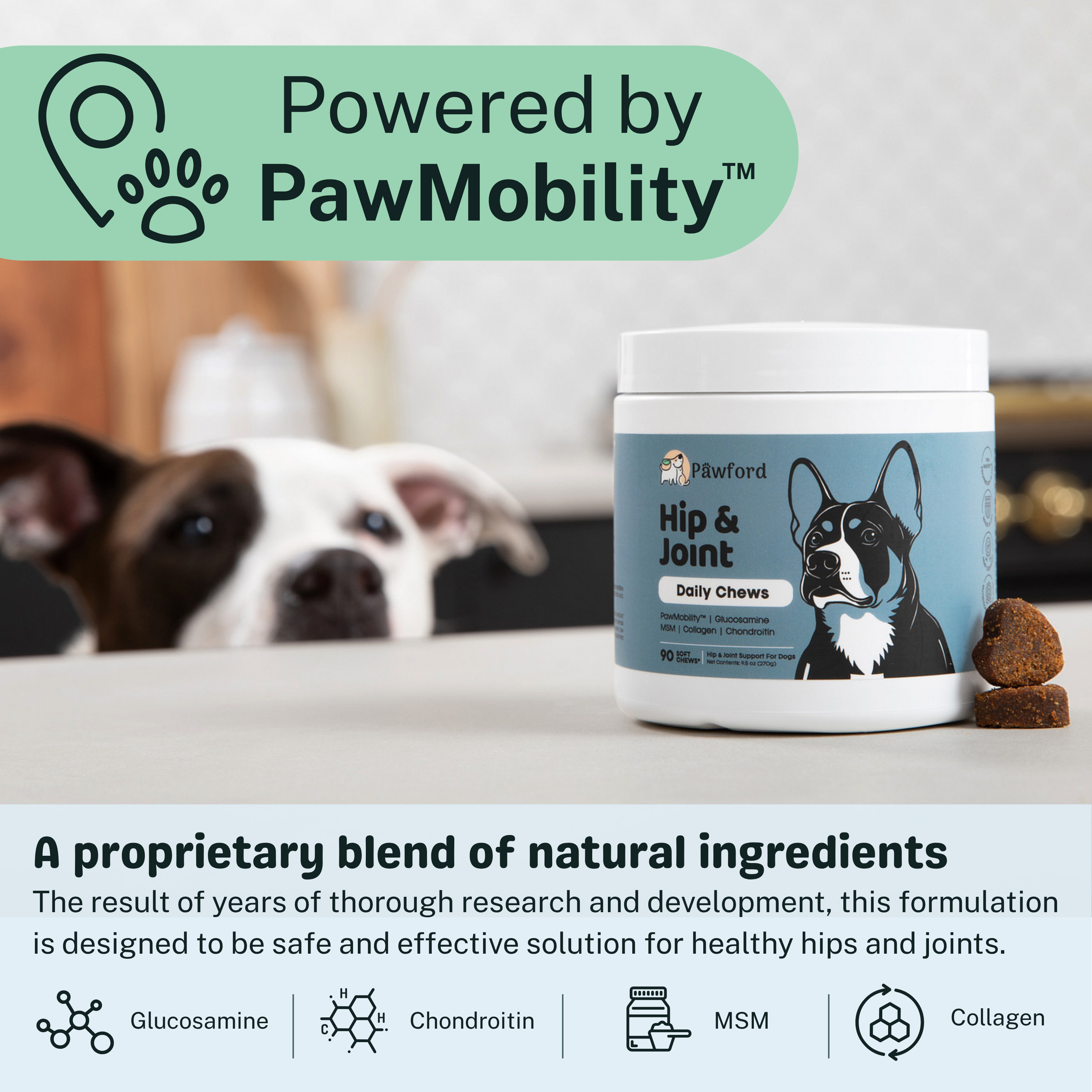 Hip & Joint Daily Chews