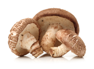 Shiitake Mushrooms