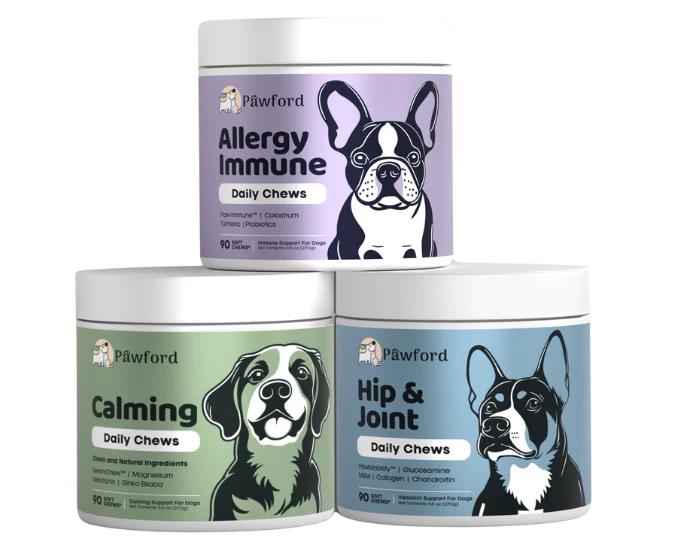 Don't Wait Until Your Dog Needs Support