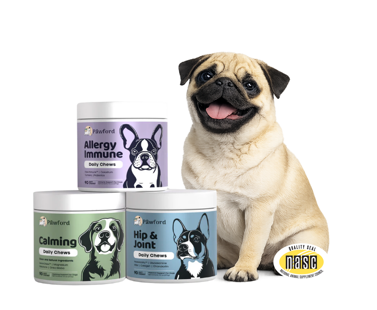 Most Dogs Need More Than Basic Food